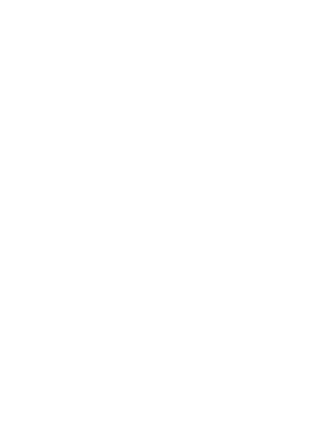 Logo BugHunt